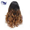 Цвет Ombre человеческих волос париков шнурка Unprocessed девственницы бразильский полный поставщик